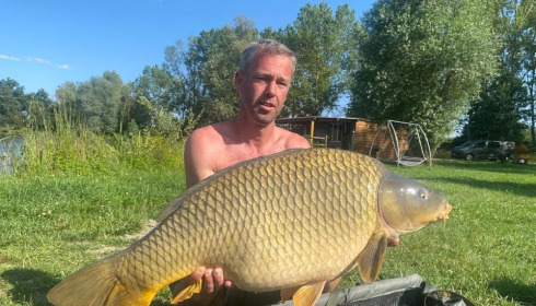 A carp from Ragon, Jul 2023