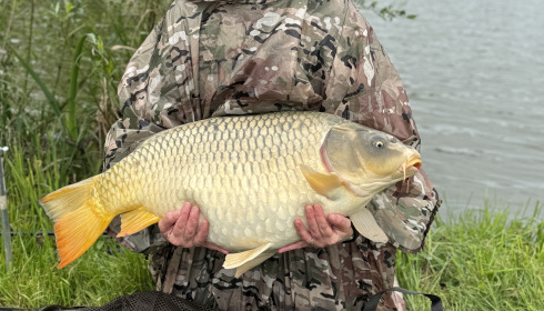 A fish from Ragon, Apr 2024