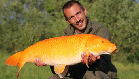 A carp from Ragon, May 2025
