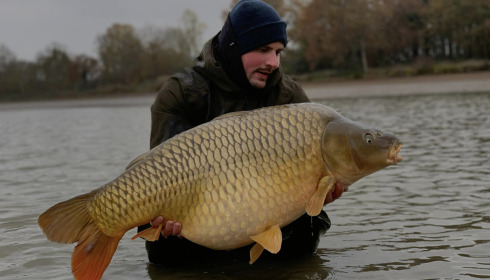 A carp from Ragon, Netting, Jan 2024