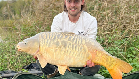 A carp from Renarde, Nov 2023