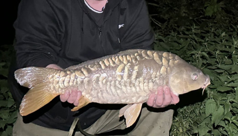 A fish from Renarde, Smallest of trip, Sep 2023