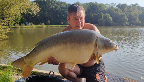 A carp from Renarde, Sep 2024
