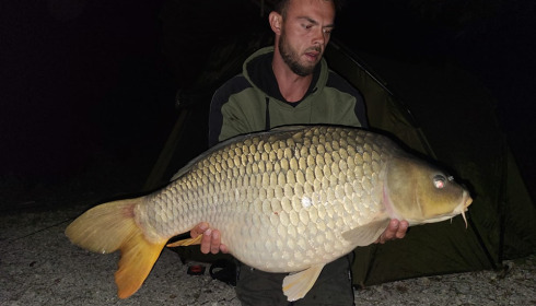 A carp from Renarde, Jul 2023