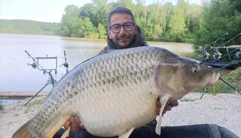 A carp from Renarde, May 2025