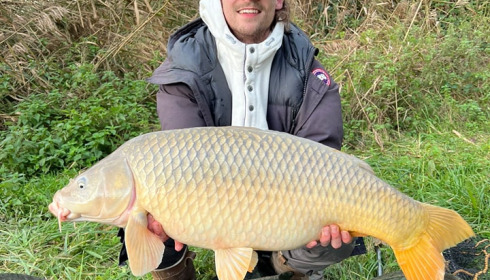 A carp from Renarde, Nov 2023