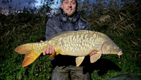 A carp from Renarde, Nov 2023