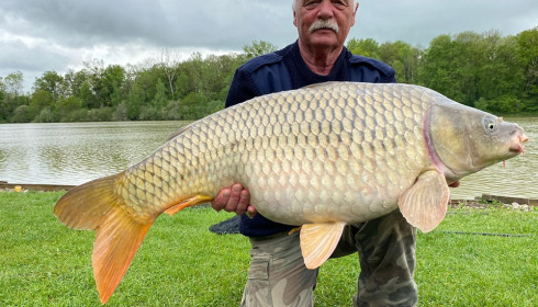 A carp from Renarde, May 2023