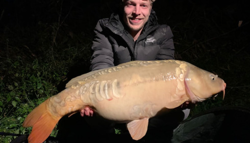 A carp from Renarde, Nov 2023