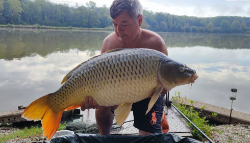 A carp from Renarde, Sep 2024
