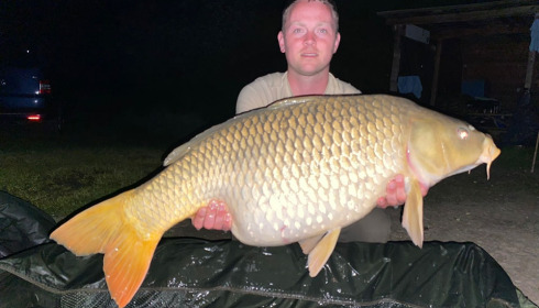 A carp from Renarde, May 2024