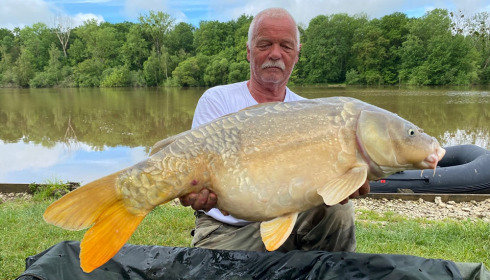 A carp from Renarde, May 2024