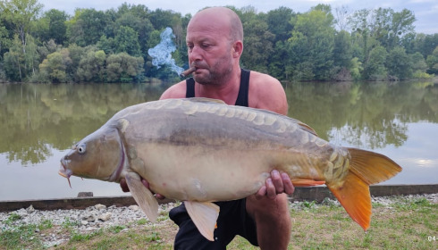 A carp from Renarde, Sep 2024