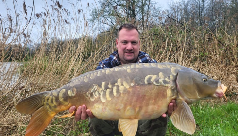 A carp from Renarde, Apr 2024
