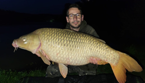 A carp from Renarde, May 2024