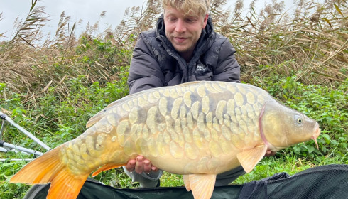 A carp from Renarde, Nov 2023