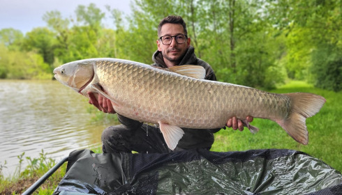 A carp from Renarde, May 2024