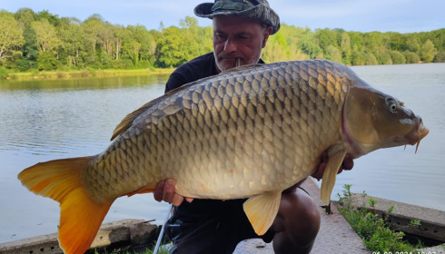 A carp from Renarde, Sep 2024