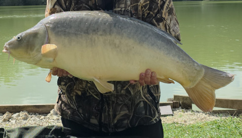 A 36 lb 2 oz fish from Renarde, Mirror, Sep 2025