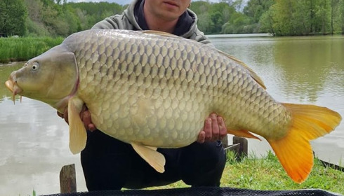 A carp from Renarde, May 2023