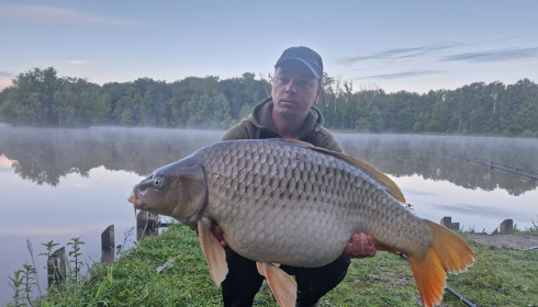A carp from Renarde, May 2024