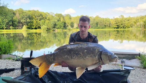 A carp from Renarde, Jul 2023
