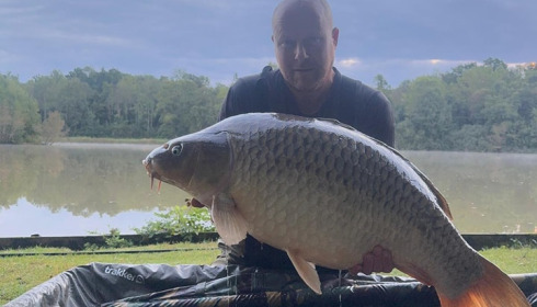 A carp from Renarde, Sep 2024