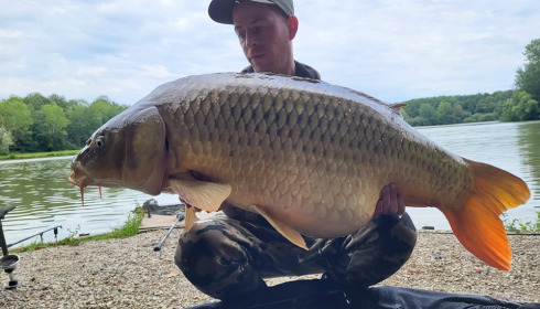 A carp from Renarde, Jul 2023