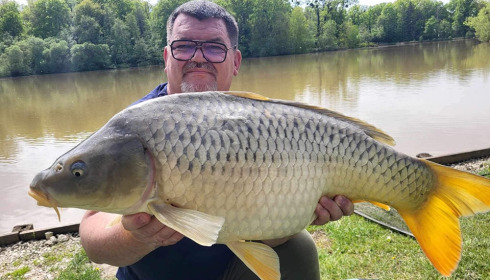A carp from Renarde, May 2024
