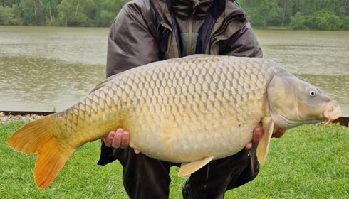 A carp from Renarde, May 2023