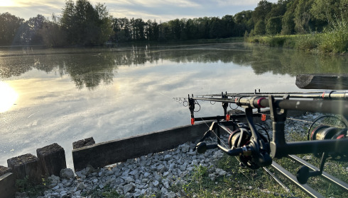 A fish from Renarde, lovely day to get amongst them, Sep 2023