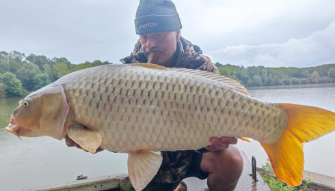 A carp from Renarde, Sep 2024