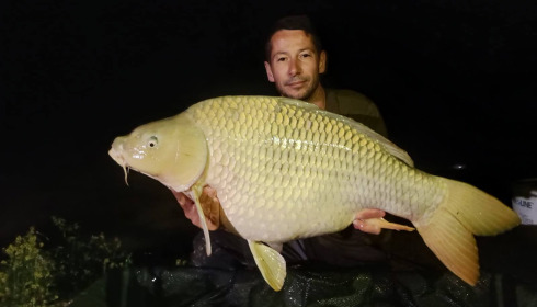 A carp from Renarde, May 2025