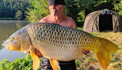A carp from Renarde, Sep 2024
