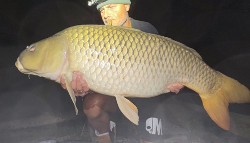 A carp from Renarde, Sep 2024