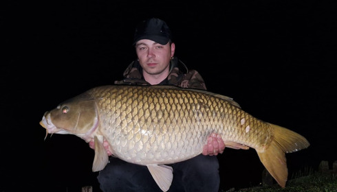 A carp from Renarde, May 2023