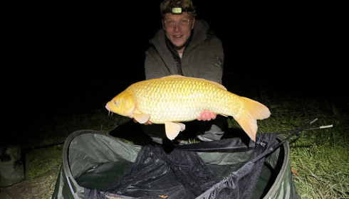 A carp from Renarde, Nov 2023