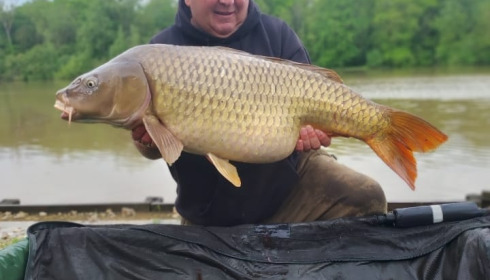 A carp from Renarde, May 2024