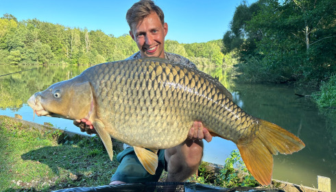 A carp from Renarde, Sep 2023
