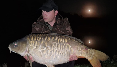 A carp from Renarde, May 2023