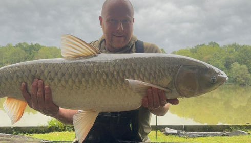 A carp from Renarde, Sep 2024