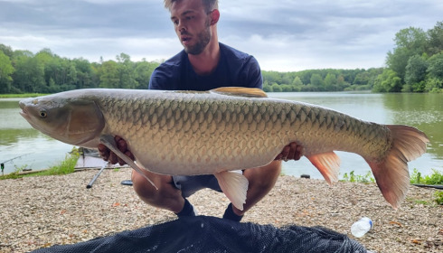 A grass carp from Renarde, Jul 2023