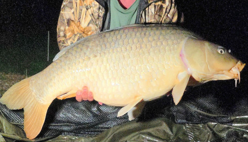 A 44 lb 8 oz fish from Renarde, Common new pb, Sep 2025