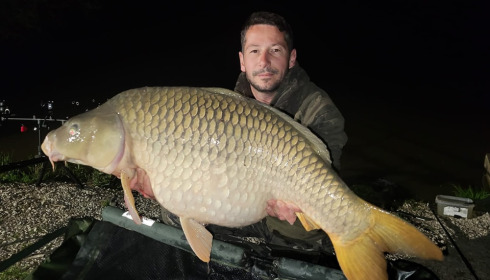 A carp from Renarde, May 2024