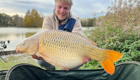 A carp from Renarde, Nov 2023