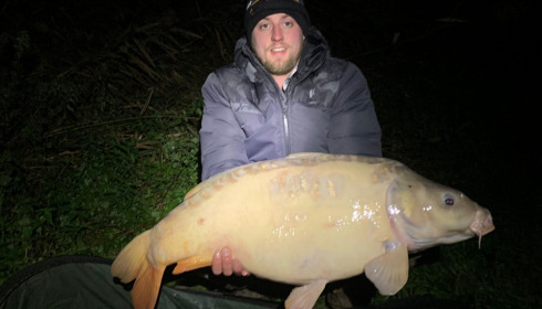 A carp from Renarde, Nov 2023