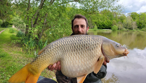 A carp from Renarde, May 2024