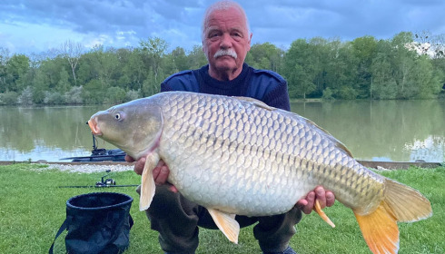 A carp from Renarde, May 2023