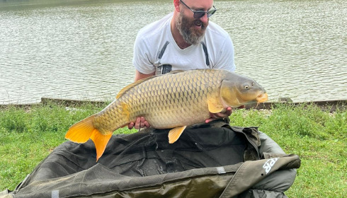 A 39 lb 8 oz fish from Renarde, PB for Drew, a lovely common on double tiger nuts, Sep 2023