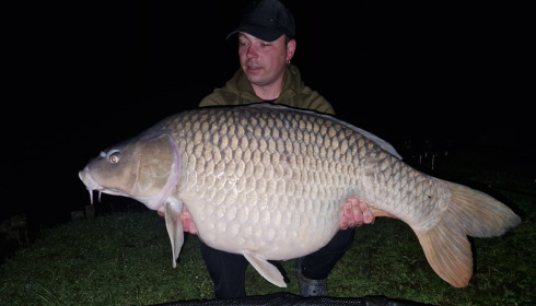 A carp from Renarde, May 2024